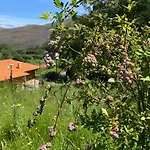 Casa Dos Mirtilos, - Geres Tatil Evi