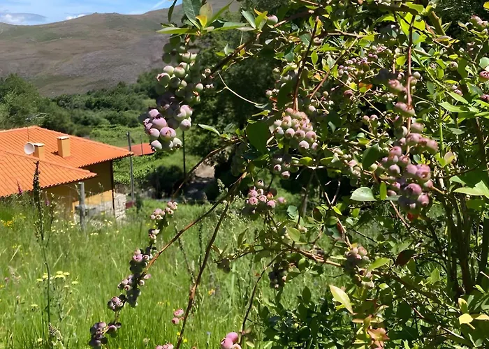 Casa Dos Mirtilos, - Geres Holiday home